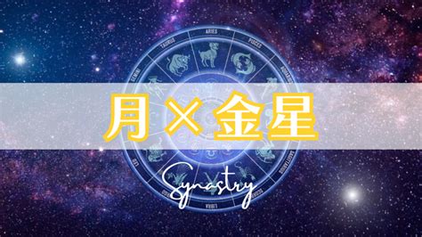 金星12宮前世